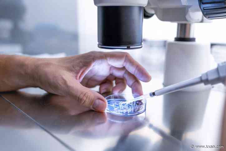 Senate Republicans introduce legislation to legalize IVF treatment nationally