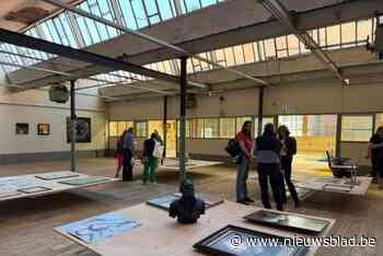 Kunstoevers verandert stad in één groot museum: “Er zaten wel heel speciale dingen bij”