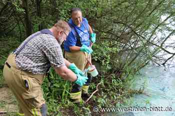 Verdacht auf Blaualgen auf dem Rathsee in Delbrück-Bentfeld
