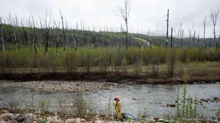 Status of wildfire that threatened Fort McMurray changed to ‘being held’