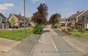 Cornwall Close, Hornchurch death: Woman mauled by XL bully dogs
