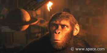What did Noa see in the telescope in 'Kingdom of the Planet of the Apes?'