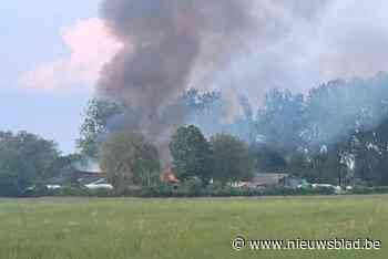 Schapenboerderij vzw Kemp gaat volledig in vlammen op: “Brandweer heeft geprobeerd zo veel mogelijk dieren te redden”