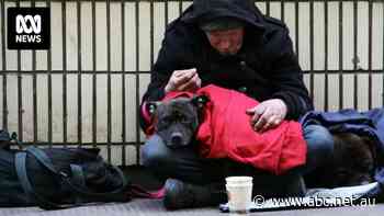 During the Great Depression begging was made illegal in Tasmania, but some say that must change in today's world