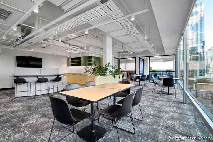 This regenerated Melbourne office building celebrates the transformative power of good design