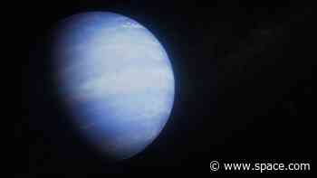 The James Webb Space Telescope may have solved a puffy planet mystery. Here's how