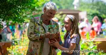 Northumberland schoolgirl plants Sycamore Gap seedling at Chelsea Flower Show with Dame Judi Dench