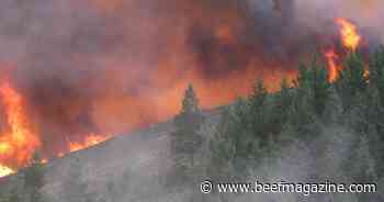 Stanford, Colo. State lead review of fire research