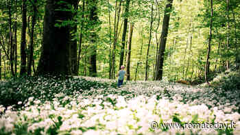 "Bambini botanici" al Museo Orto Botanico di Roma