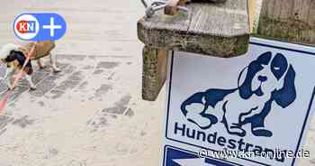 Urlaub mit Hund in Schleswig-Holstein: Sophie Lübbert testet Hundehotels