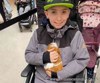 Collier Row boy brings Wellgate Farm animals to Romford Mercury Mall