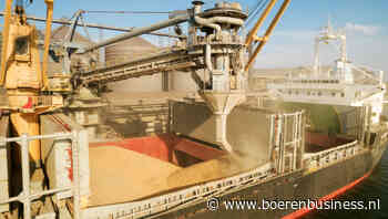 Tarwe in de lift door onrust in Zwarte Zeegebied