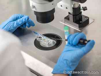 McTeer: Three men, 600 children — Facebook sperm 'donors' show need for updated laws