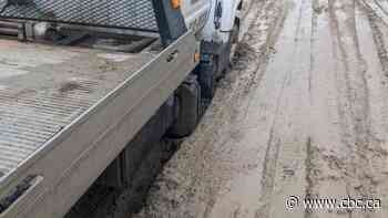 Cumberland House, Sask., has limited access to food, supplies, while Highway 123 is a 'muddy road,' locals say