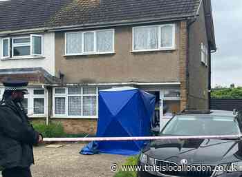 Angeline Mahal named locally as Hornchurch XL bully attack victim