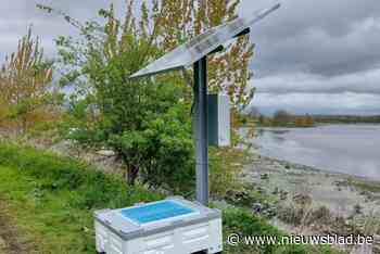 Vlaamse Waterweg wil knijtenplagen in Kastel voorkomen met vallen en wilgenbuffers