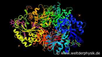 Die Melodie der Proteine