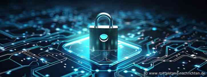 Die finanzielle Logik hinter IT-Sicherheitsinvestitionen: