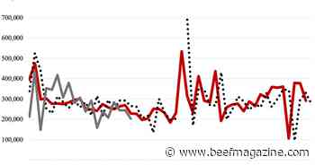 2024 National feeder and stocker receipts down 6 percent from 2023