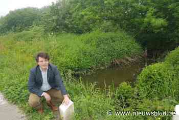 Gemeente neemt maatregelen om nieuwe wateroverlast te voorkomen: “Strijd tegen overstromingen verloopt voorspoedig”