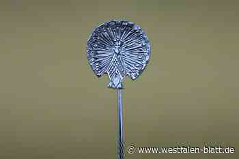 Diese drei Menschen erhalten die Kulturnadeln der Stadt Paderborn 2024