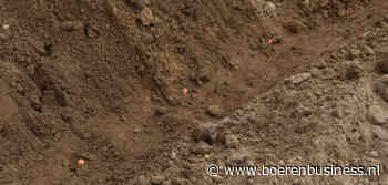 Start van de snijmaïs is alles behalve ideaal