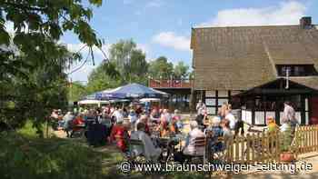 In Gifhorn kann die Fußball-Europameisterschaft kommen