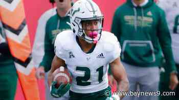 Former USF football player critically injured in shooting, brother killed