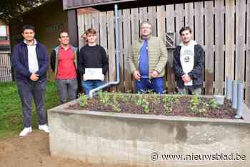VTI-leerlingen zuiveren afvalwater op campus: “Geen verspilling meer”