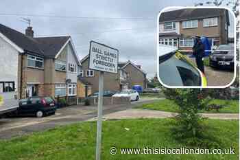 Cornwall Close, Hornchurch dog attack: Neighbours react