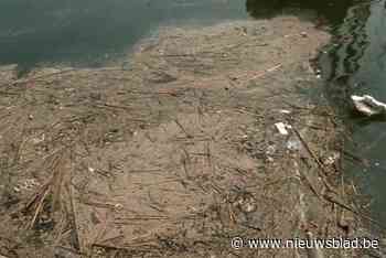 Stadshavendienst heeft handen vol met afval in Willemdok en Kattendijkdok: “Al 4 grote zakken gevuld”