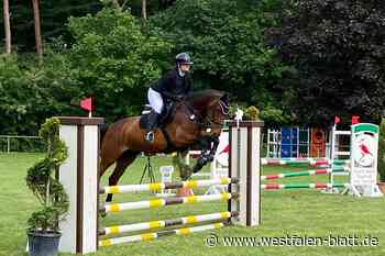 Stadtmeister in der Dressur und im Springen
