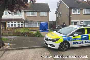 Angeline Mahal Hornchurch XL bully attack: Everything we know so far