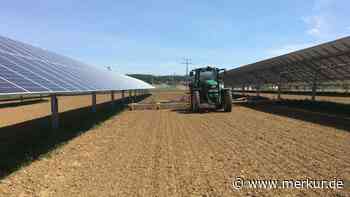 „Für die Bürger ergeben sich große Chancen“: Attenkirchens Ortschef weist Kritik an Agri-PV-Anlagen zurück