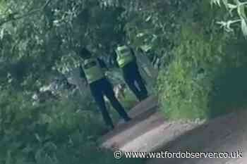 Police defend shooting dog after Croxley Green attack