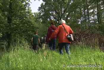 Provincie Antwerpen werkt samen met particuliere boseigenaar in Kalmthout om natuurkern te verbinden