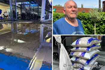 Inwoners Hoogstraten na wolkbreuk: “Het water stond tot 10 centimeter hoog in de woonkamer”