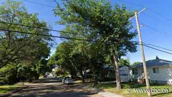 Police watchdog to investigate fatal shooting of 65-year-old man by Regina police