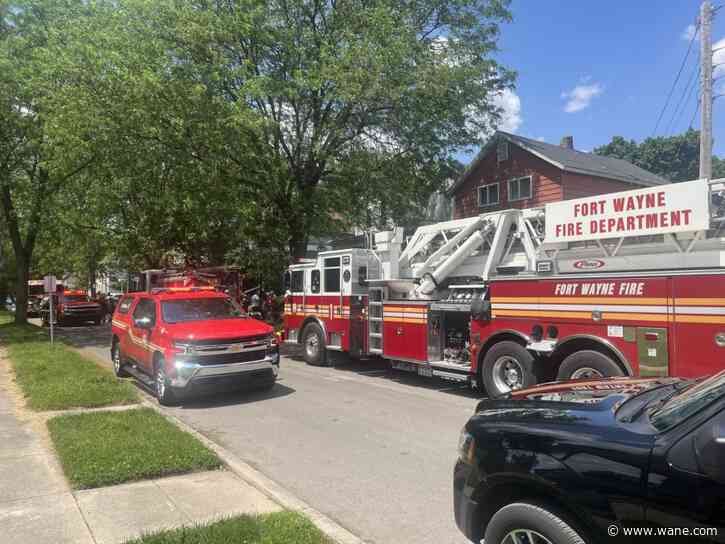 Fort Wayne Fire Department rescues 2 dogs from fire south of downtown