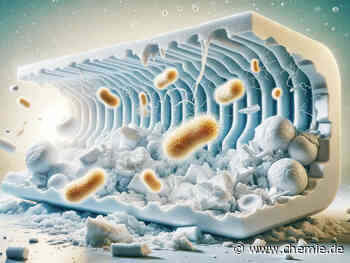 Allgegenwärtige Kunststoffe biologisch abbaubar machen