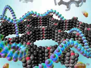 Forscher entwickeln Detektor zur kontinuierlichen Überwachung giftiger Gase