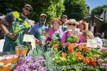 Highgate Festival 2024 starts with Fair in the Square