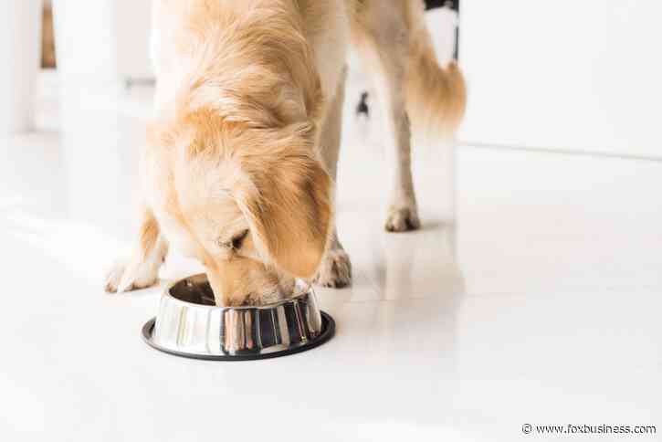 Pedigree dog food bags recalled due to possible 'loose metal pieces'