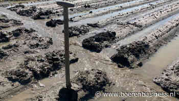 Voor de zoveelste keer is het raak: drama op de akkers