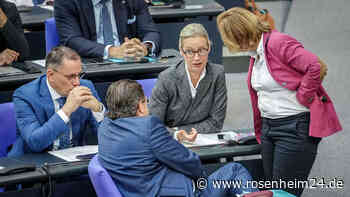 Krah vor dem Aus? AfD verhängt Auftrittsverbot vor Europawahl