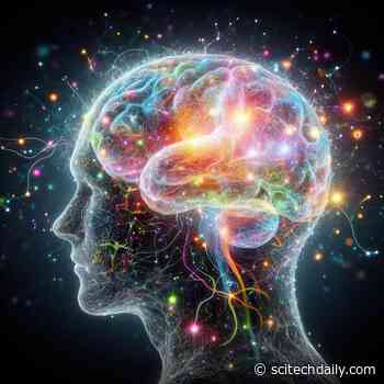 Rewiring the Brain: How Practice Really Makes Perfect