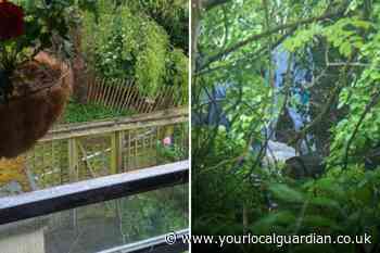 Rawnsley Avenue Wandle River Mitcham: Human remains found