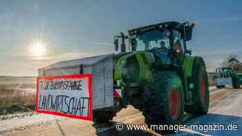 Bauern: 40 Prozent mehr - Einkommen der Landwirte steigt auf Zehnjahreshoch