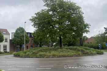 Rotonde Berkenrijslaan-Pastoor Bauwenslaan vernieuwd: “Veiligere fietspaden en aansluiting op omliggende straten”