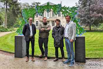 Vlasbloemen Emile Claus fleuren straatbeeld op deze zomer:” Ze duiken overal op”